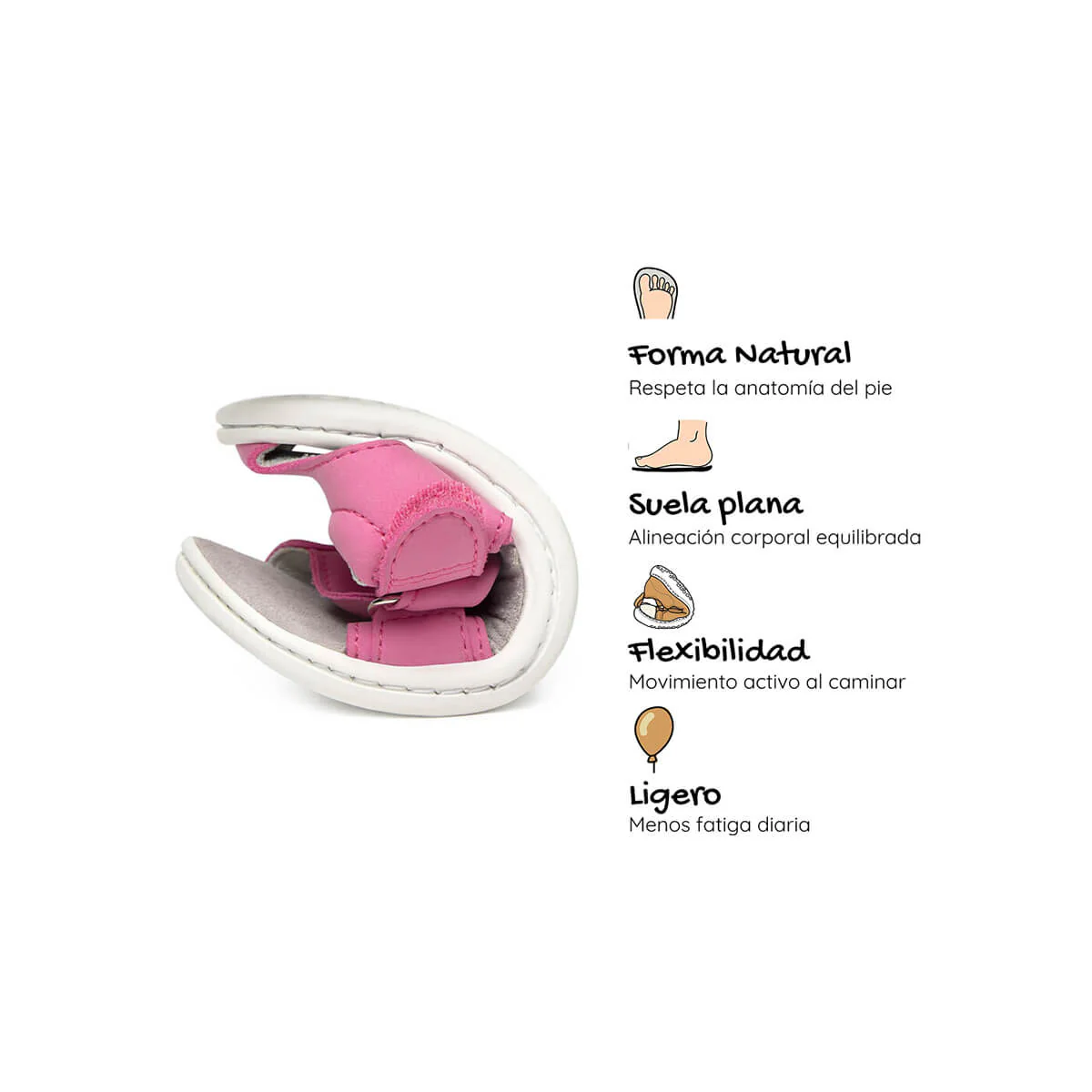Oliva SanRoc - Image 6