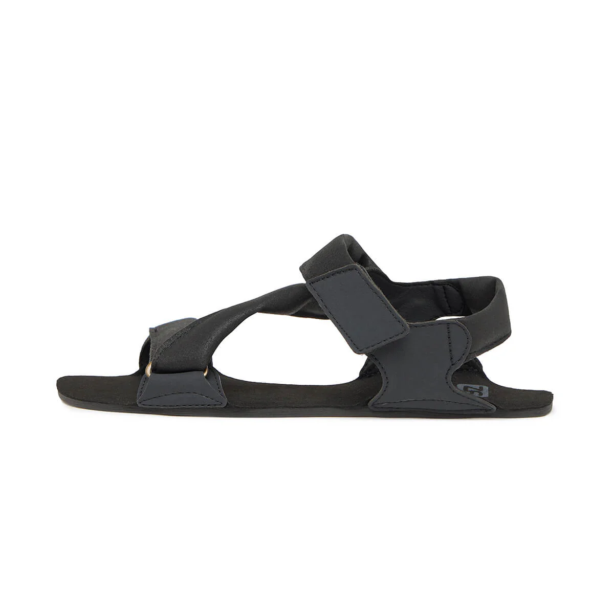 Oliva Freeker C - Image 9